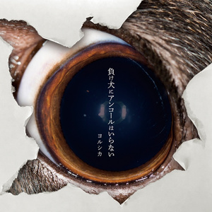 黑丝美女在床上做运动
